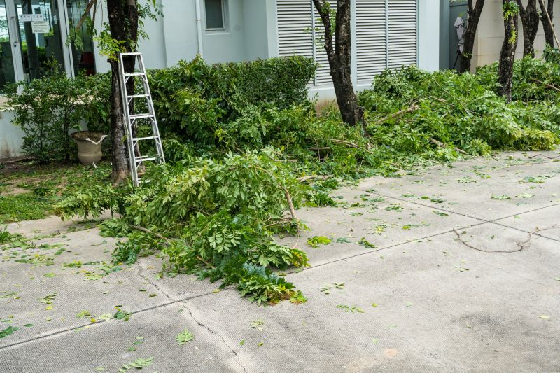 Apple Tree Removal in Aiken, SC