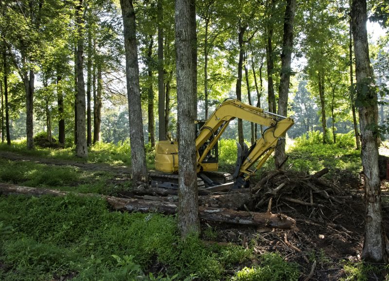 Bushes Clearing in Cumming, GA