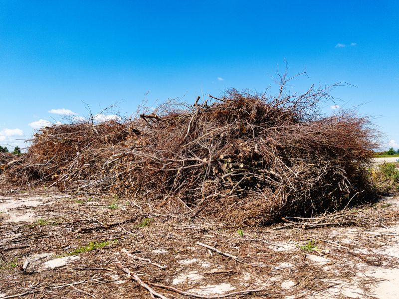 Clearing Debris After Removal