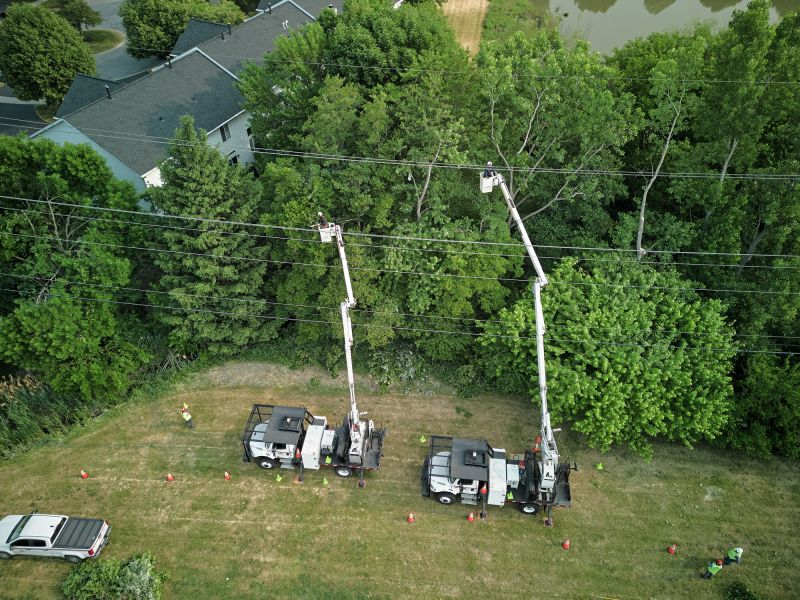 Tree Cutting from a Bucket Truck