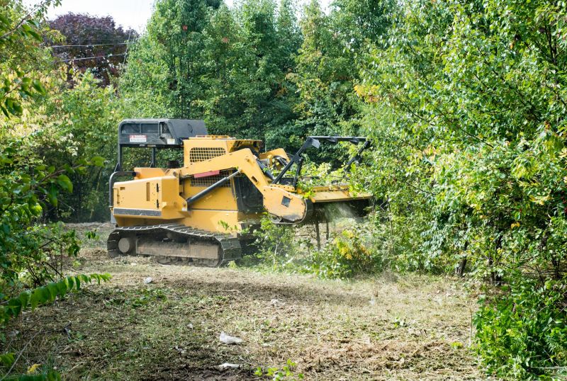 Thicket Clearing in Salt Lake City, UT