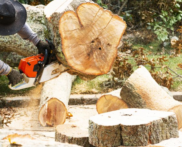Grow your Down Tree Removal business